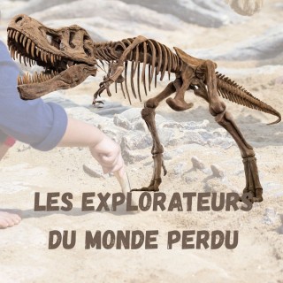 explorateur temps perdu